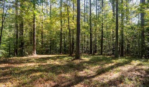 Photo #36 of Off Spring Hill Road & Off Hwy 561, Scotland Neck, NC 588.4 acres