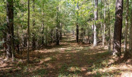 Photo #37 of Off Spring Hill Road & Off Hwy 561, Scotland Neck, NC 588.4 acres