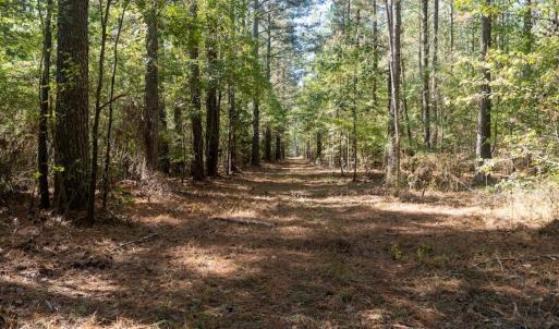Photo #38 of Off Spring Hill Road & Off Hwy 561, Scotland Neck, NC 588.4 acres