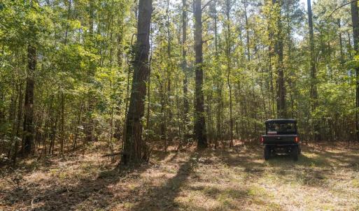 Photo #39 of Off Spring Hill Road & Off Hwy 561, Scotland Neck, NC 588.4 acres