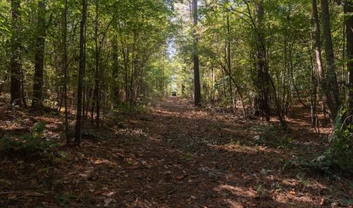 Photo #4 of Off Spring Hill Road & Off Hwy 561, Scotland Neck, NC 588.4 acres