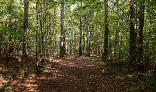 Photo #5 of Off Spring Hill Road & Off Hwy 561, Scotland Neck, NC 588.4 acres
