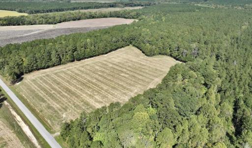 Photo #8 of Off Spring Hill Road & Off Hwy 561, Scotland Neck, NC 588.4 acres