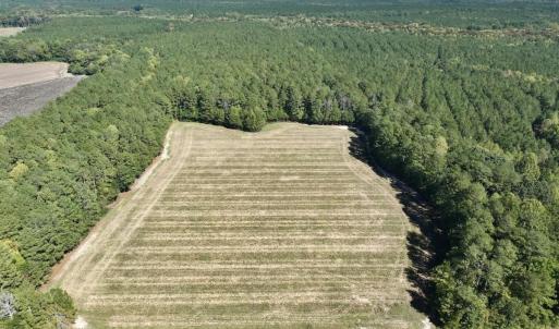 Photo #9 of Off Spring Hill Road & Off Hwy 561, Scotland Neck, NC 588.4 acres
