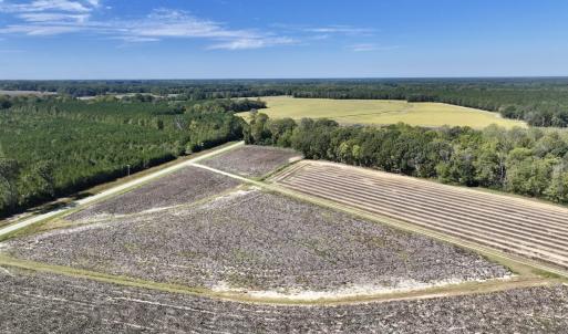 Photo #41 of Off Spring Hill Road & Off Hwy 561, Scotland Neck, NC 588.4 acres