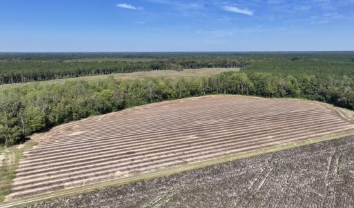 Photo #42 of Off Spring Hill Road & Off Hwy 561, Scotland Neck, NC 588.4 acres