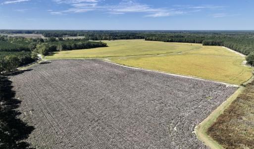 Photo #44 of Off Spring Hill Road & Off Hwy 561, Scotland Neck, NC 588.4 acres