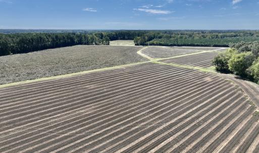 Photo #45 of Off Spring Hill Road & Off Hwy 561, Scotland Neck, NC 588.4 acres