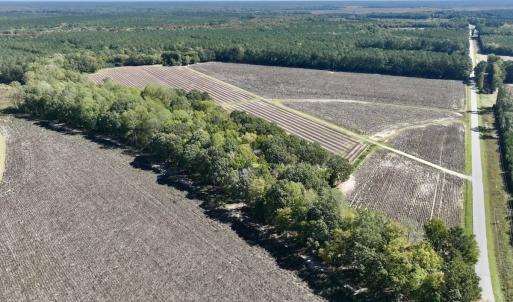 Photo #46 of Off Spring Hill Road & Off Hwy 561, Scotland Neck, NC 588.4 acres