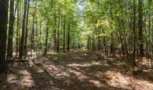Photo #47 of Off Spring Hill Road & Off Hwy 561, Scotland Neck, NC 588.4 acres
