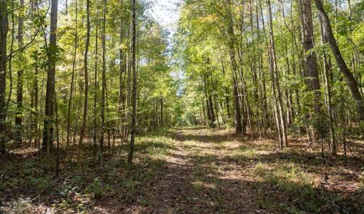 Photo #48 of Off Spring Hill Road & Off Hwy 561, Scotland Neck, NC 588.4 acres