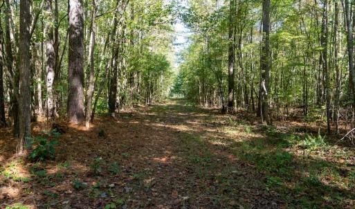 Photo #49 of Off Spring Hill Road & Off Hwy 561, Scotland Neck, NC 588.4 acres