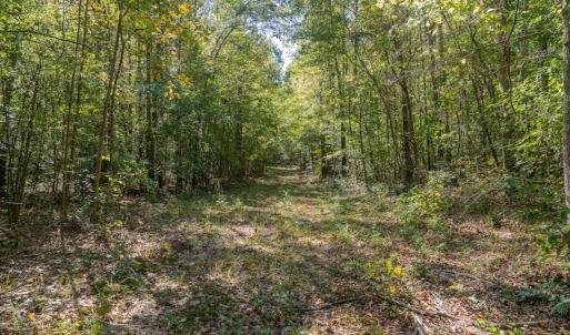 Photo #50 of Off Spring Hill Road & Off Hwy 561, Scotland Neck, NC 588.4 acres