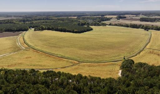 Photo #52 of Off Spring Hill Road & Off Hwy 561, Scotland Neck, NC 588.4 acres