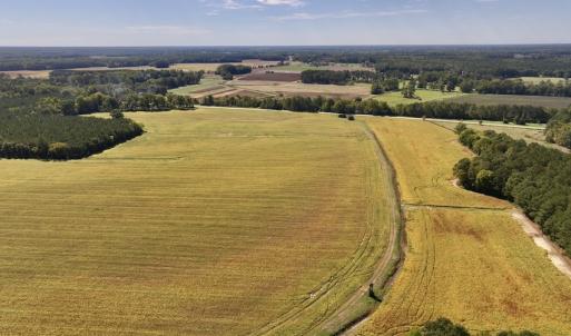 Photo #53 of Off Spring Hill Road & Off Hwy 561, Scotland Neck, NC 588.4 acres