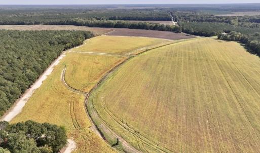 Photo #54 of Off Spring Hill Road & Off Hwy 561, Scotland Neck, NC 588.4 acres