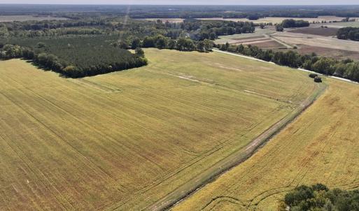 Photo #55 of Off Spring Hill Road & Off Hwy 561, Scotland Neck, NC 588.4 acres