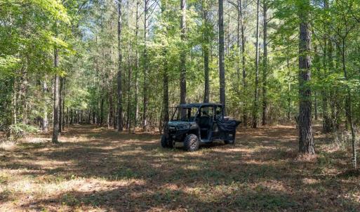 Photo #57 of Off Spring Hill Road & Off Hwy 561, Scotland Neck, NC 588.4 acres