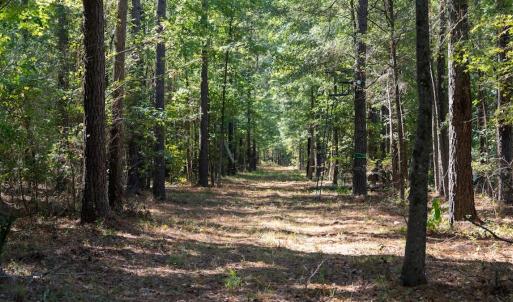 Photo #59 of Off Spring Hill Road & Off Hwy 561, Scotland Neck, NC 588.4 acres