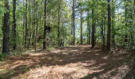 Photo #60 of Off Spring Hill Road & Off Hwy 561, Scotland Neck, NC 588.4 acres