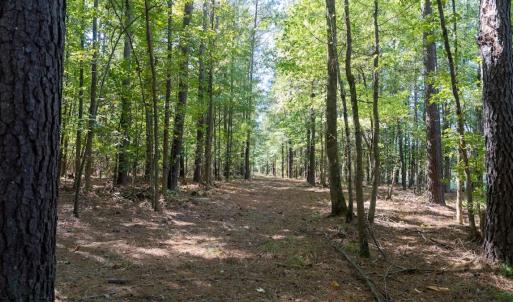 Photo #61 of Off Spring Hill Road & Off Hwy 561, Scotland Neck, NC 588.4 acres