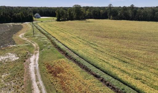 Photo #62 of Off Spring Hill Road & Off Hwy 561, Scotland Neck, NC 588.4 acres