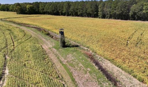 Photo #64 of Off Spring Hill Road & Off Hwy 561, Scotland Neck, NC 588.4 acres