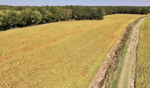Photo #65 of Off Spring Hill Road & Off Hwy 561, Scotland Neck, NC 588.4 acres