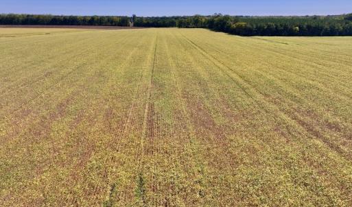 Photo #66 of Off Spring Hill Road & Off Hwy 561, Scotland Neck, NC 588.4 acres
