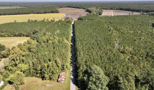 Photo #67 of Off Spring Hill Road & Off Hwy 561, Scotland Neck, NC 588.4 acres