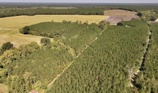 Photo #68 of Off Spring Hill Road & Off Hwy 561, Scotland Neck, NC 588.4 acres