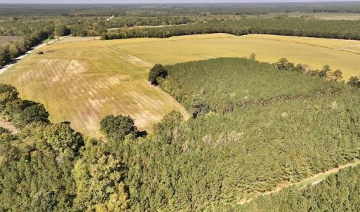 Photo #70 of Off Spring Hill Road & Off Hwy 561, Scotland Neck, NC 588.4 acres