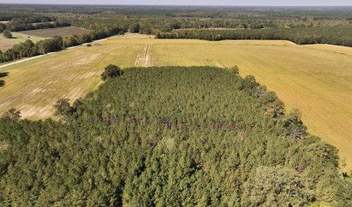 Photo #71 of Off Spring Hill Road & Off Hwy 561, Scotland Neck, NC 588.4 acres