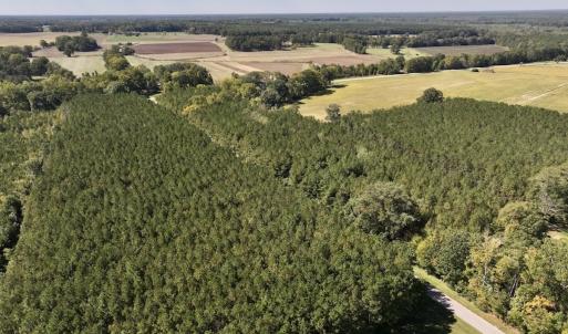 Photo #72 of Off Spring Hill Road & Off Hwy 561, Scotland Neck, NC 588.4 acres