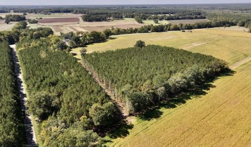 Photo #73 of Off Spring Hill Road & Off Hwy 561, Scotland Neck, NC 588.4 acres