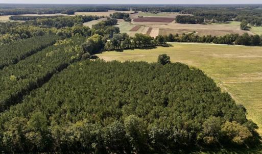 Photo #74 of Off Spring Hill Road & Off Hwy 561, Scotland Neck, NC 588.4 acres
