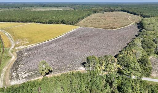Photo #82 of Off Spring Hill Road & Off Hwy 561, Scotland Neck, NC 588.4 acres