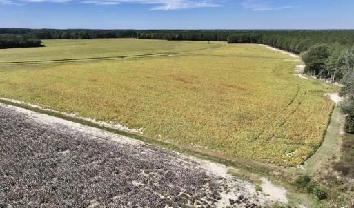 Photo #85 of Off Spring Hill Road & Off Hwy 561, Scotland Neck, NC 588.4 acres