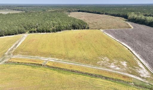 Photo #86 of Off Spring Hill Road & Off Hwy 561, Scotland Neck, NC 588.4 acres