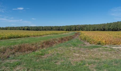 Photo #87 of Off Spring Hill Road & Off Hwy 561, Scotland Neck, NC 588.4 acres