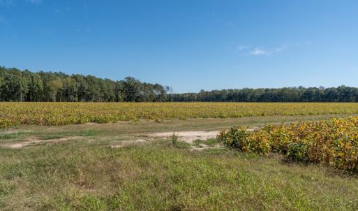 Photo #88 of Off Spring Hill Road & Off Hwy 561, Scotland Neck, NC 588.4 acres