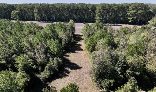 Photo #12 of Off W Wards Bridge Rd, Warsaw, NC 60.8 acres