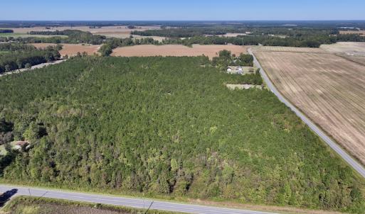 Photo #2 of Off W Wards Bridge Rd, Warsaw, NC 60.8 acres