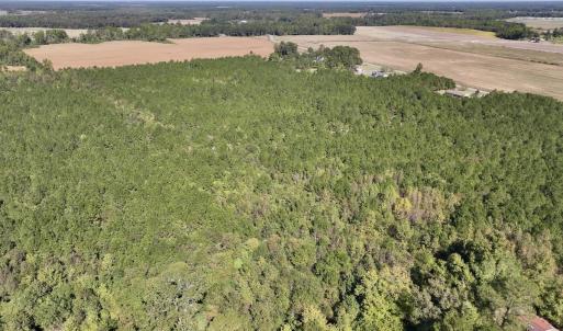 Photo #3 of Off W Wards Bridge Rd, Warsaw, NC 60.8 acres