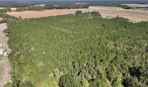 Photo #4 of Off W Wards Bridge Rd, Warsaw, NC 60.8 acres