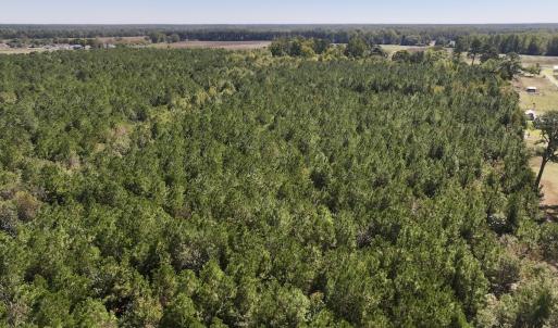 Photo #5 of Off W Wards Bridge Rd, Warsaw, NC 60.8 acres