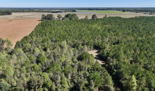 Photo #6 of Off W Wards Bridge Rd, Warsaw, NC 60.8 acres