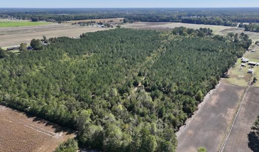 Photo #7 of Off W Wards Bridge Rd, Warsaw, NC 60.8 acres