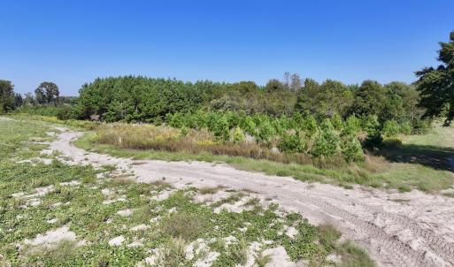 Photo #10 of Off of Earnest Loftin Road, Ayden, NC 43.6 acres