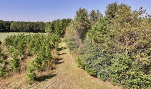 Photo #11 of Off of Earnest Loftin Road, Ayden, NC 43.6 acres